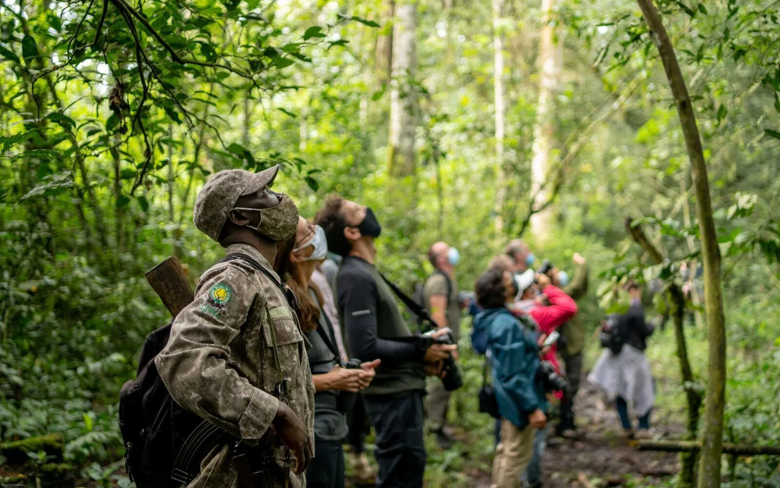 Why serious birders come to Ruhija and nowhere else in Bwindi