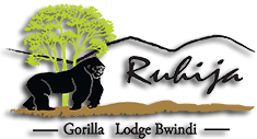 Ruhija Gorilla Lodge